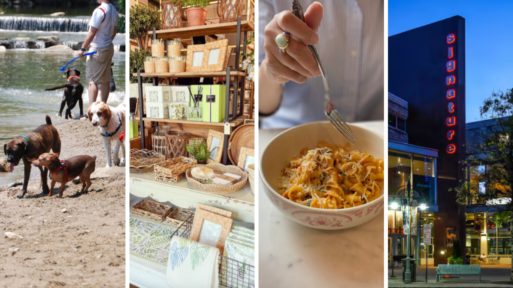 Shirlington Arlington VA things to do in Shirlington Shirlington restaurants Signature Theatre Arlington Arlington nightlife Arlington shopping Arlington bike trails Shirlington events Shirlington Library Shirlington Dog Park